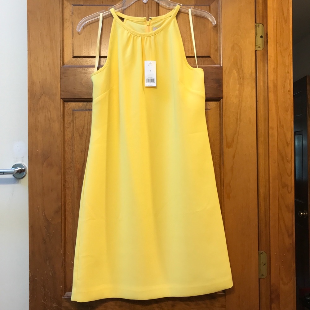 Banana Republic Sleeveless Dress
